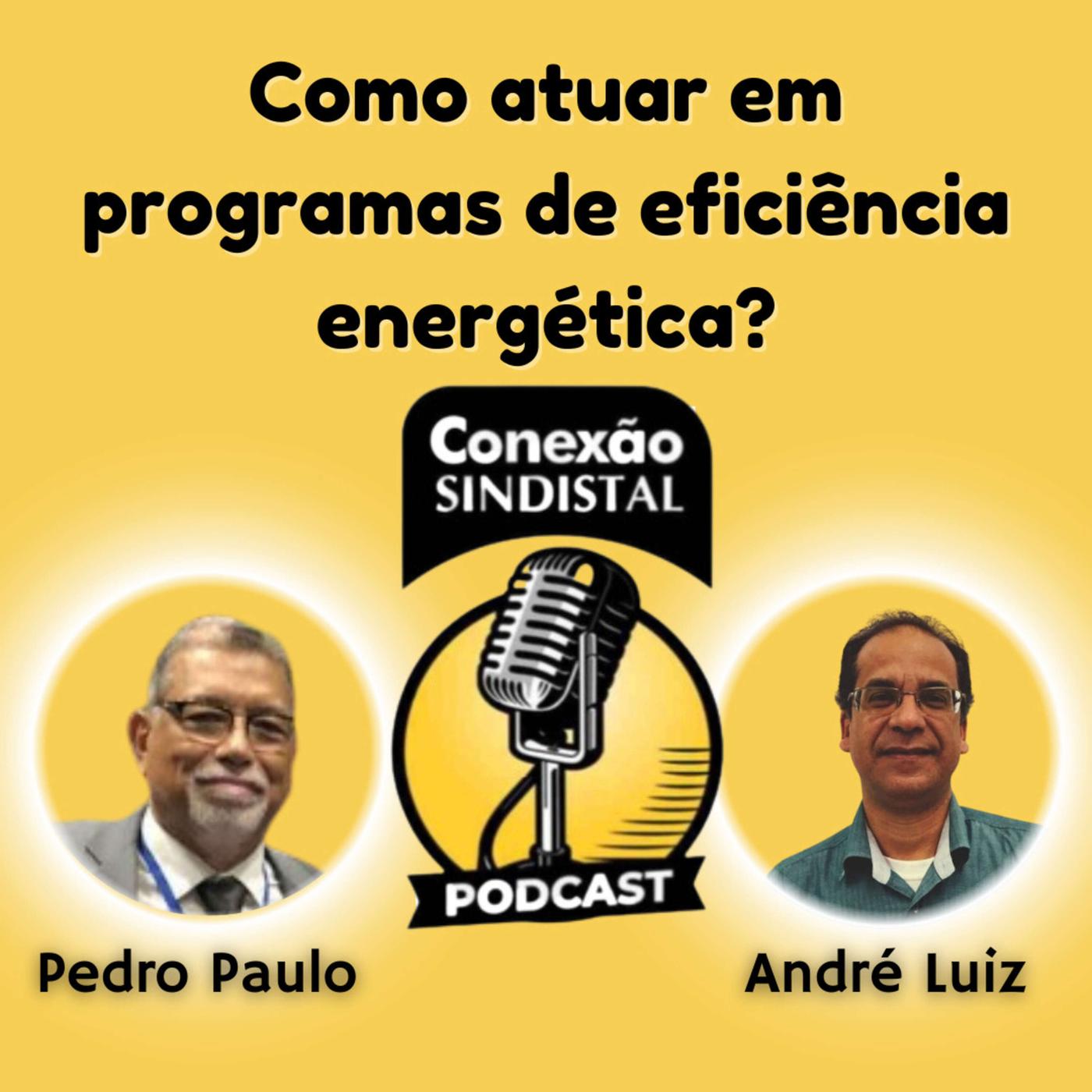 Como Atuar Em Programas De Efici Ncia Energ Tica Listen Notes