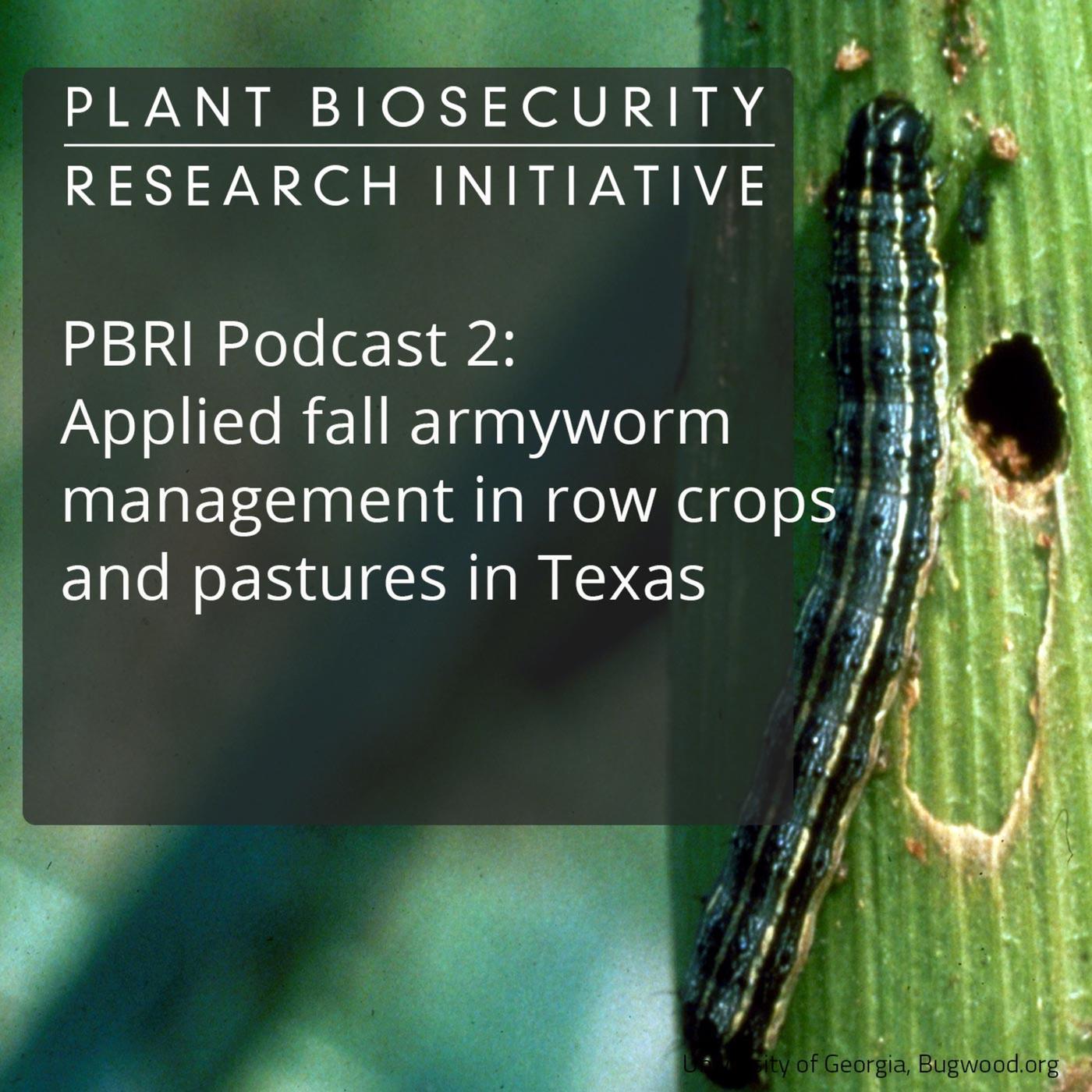 Episode Field Observations Of Fall Armyworm In Northern Western