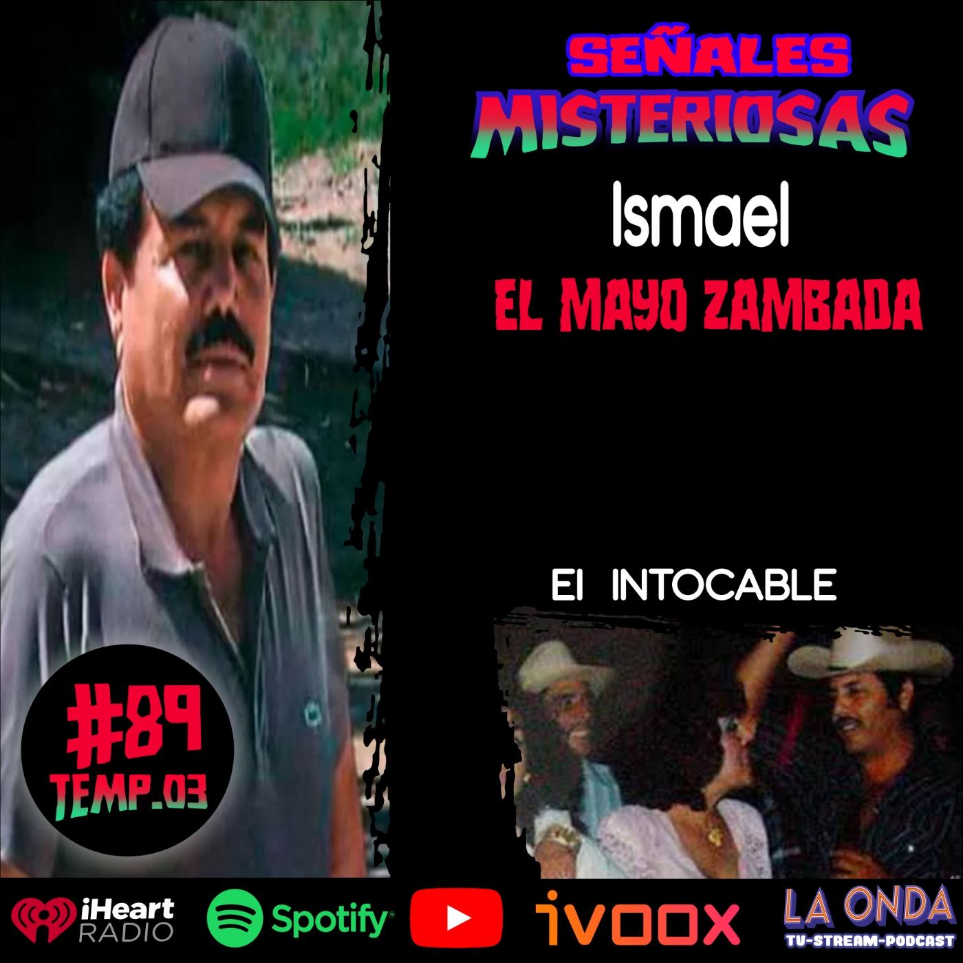 Cap El Mayo Zambada Se Ales Misteriosas Podcast Listen Notes