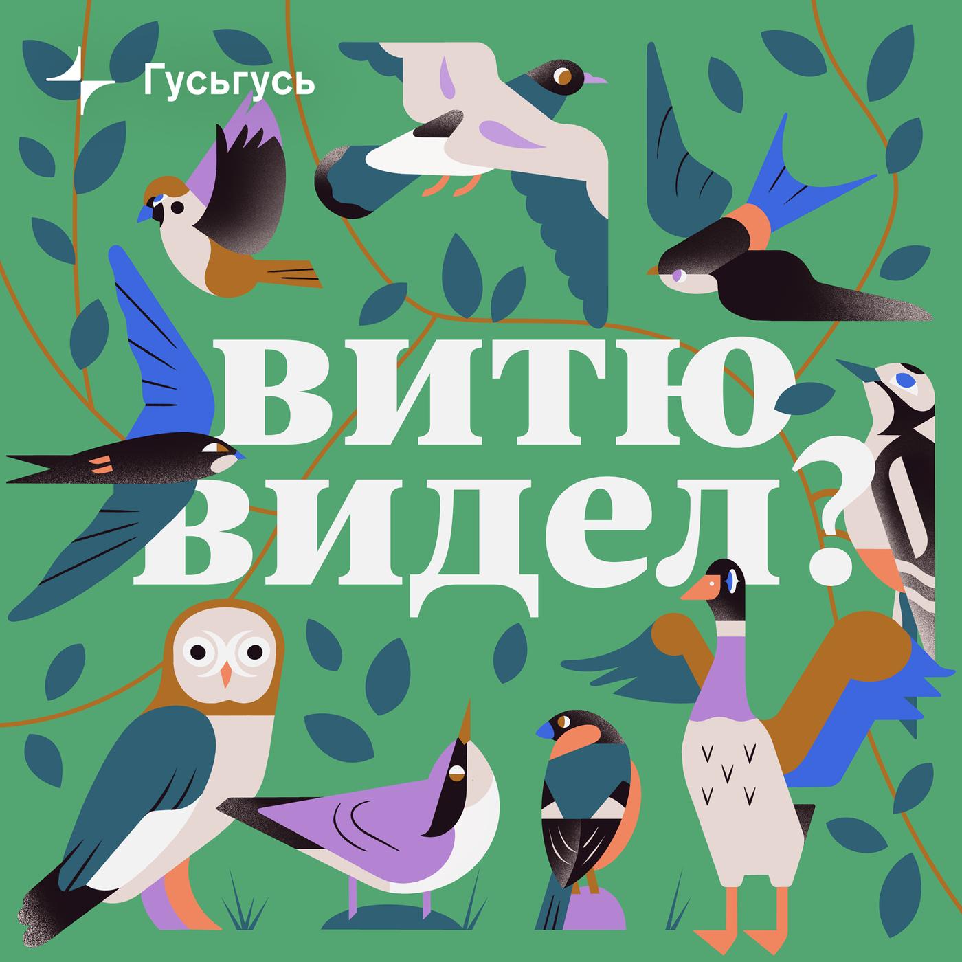 Витю видел? (подкаст) - Гусьгусь | Listen Notes