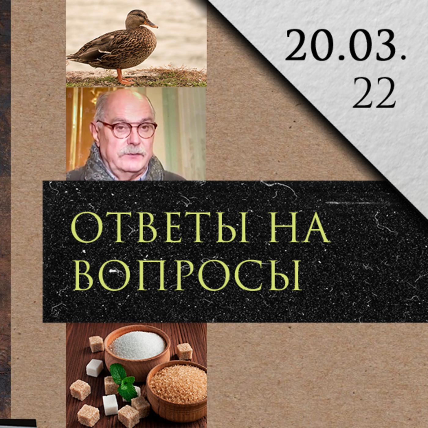 Подкасты Леонида Радзиховского (подкаст) - Ибрагим | Listen Notes