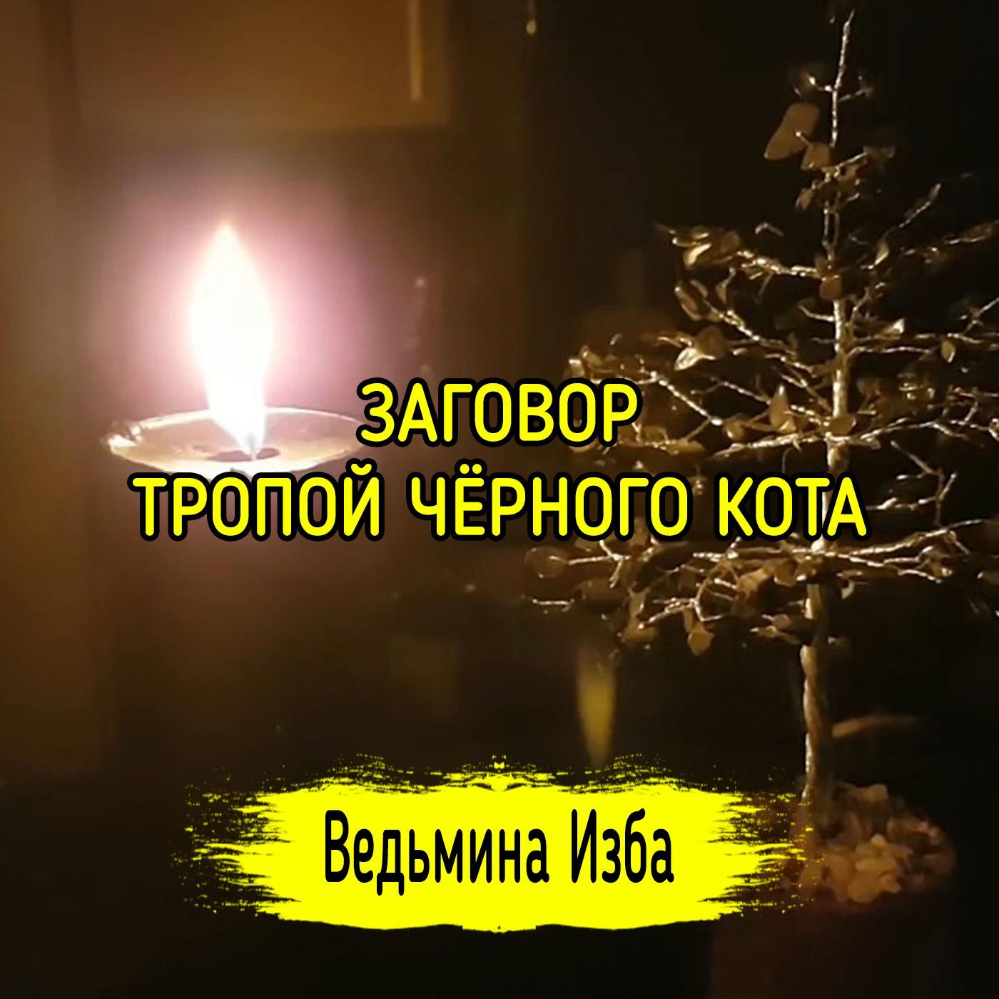 ТРОПОЙ ЧЁРНОГО КОТА. ВЕДЬМИНА ИЗБА ▶️ ИНГА ХОСРОЕВА | Listen Notes