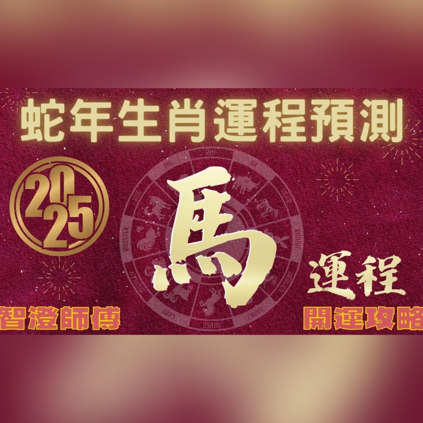 2025年 乙巳年 生肖運勢 蛇年十二生肖運程 —【肖馬】 | 概括運程+四季不同時段出生 屬馬運程 | 開運攻略 | 生肖運程 分析 ...