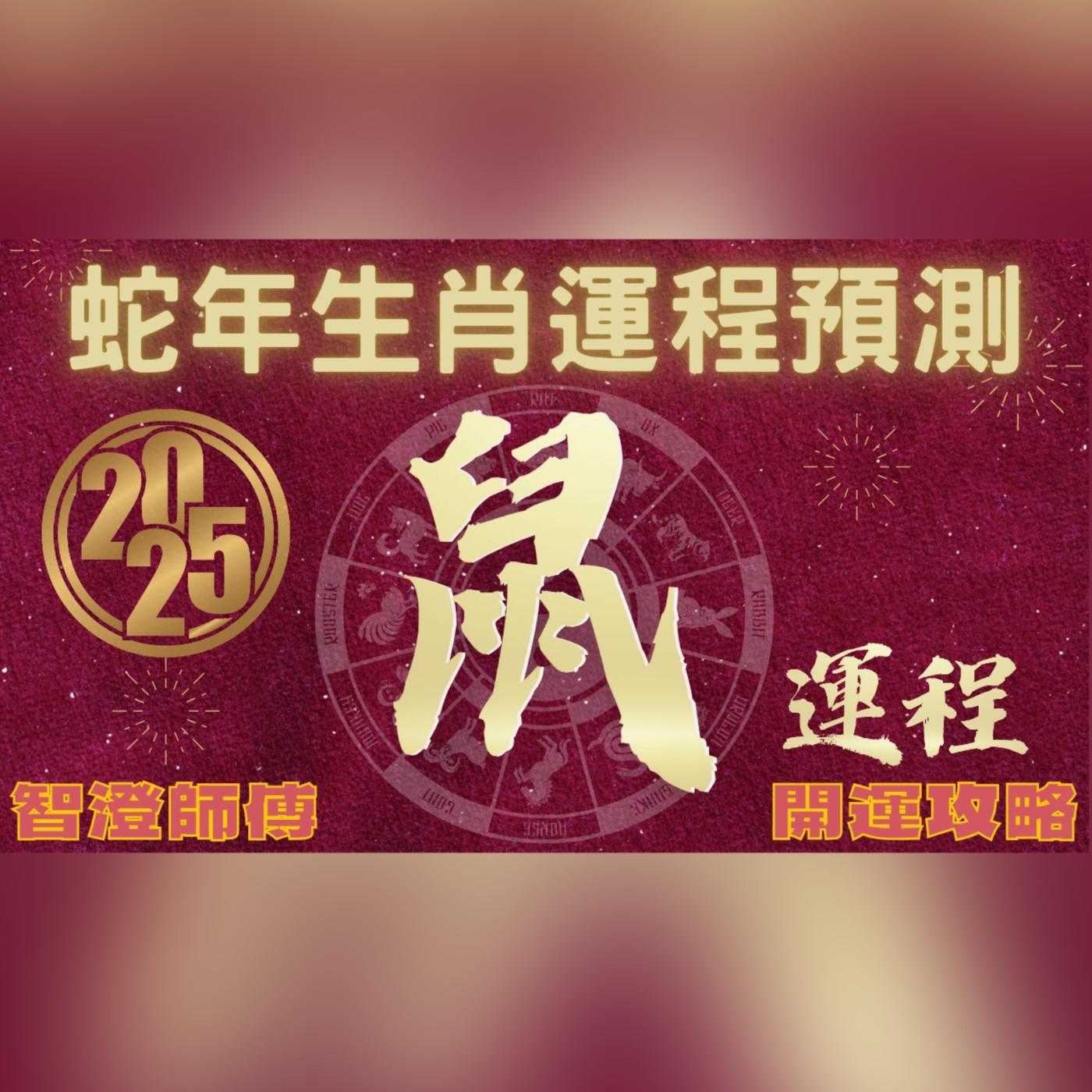 2025年 乙巳年 生肖運勢 蛇年十二生肖運程 —【肖龍】 | 概括運程+四季不同時段出生 屬龍運程 | 開運攻略 | 生肖運程 分析 ...