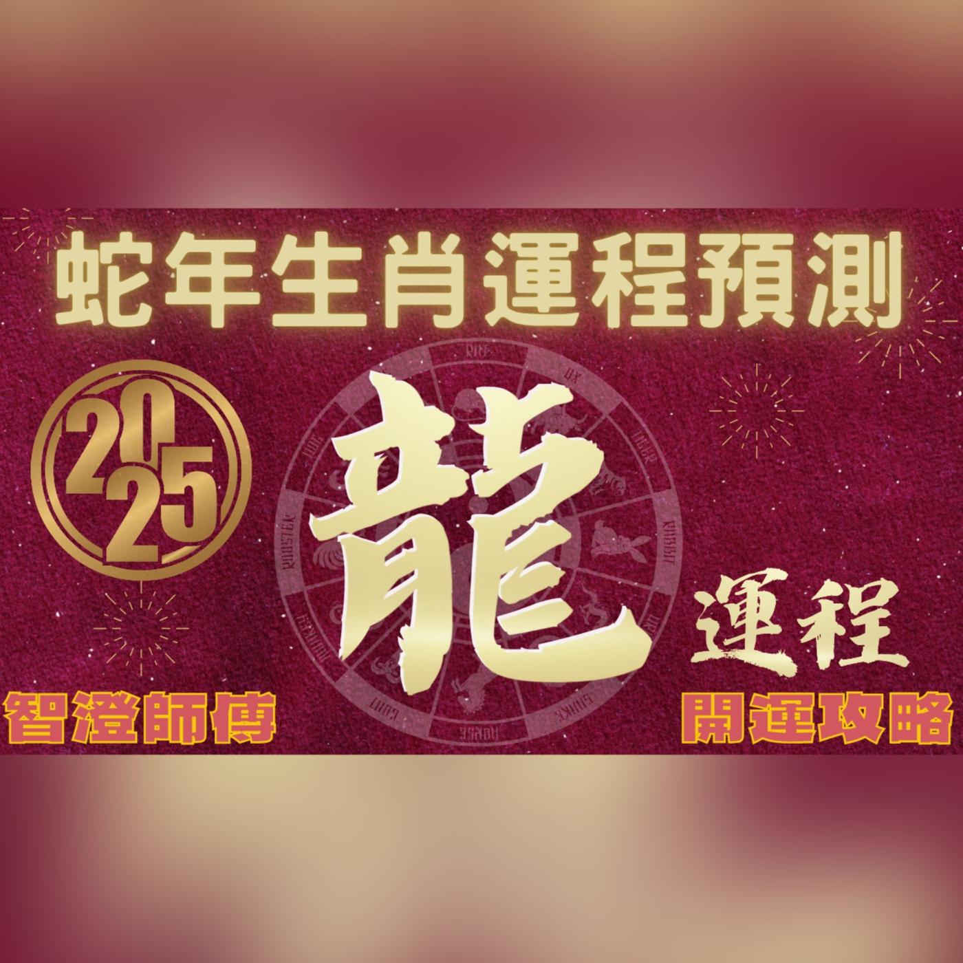 2025年 乙巳年 生肖運勢 蛇年十二生肖運程 —【肖龍】 | 概括運程+四季不同時段出生 屬龍運程 | 開運攻略 | 生肖運程 分析 ...