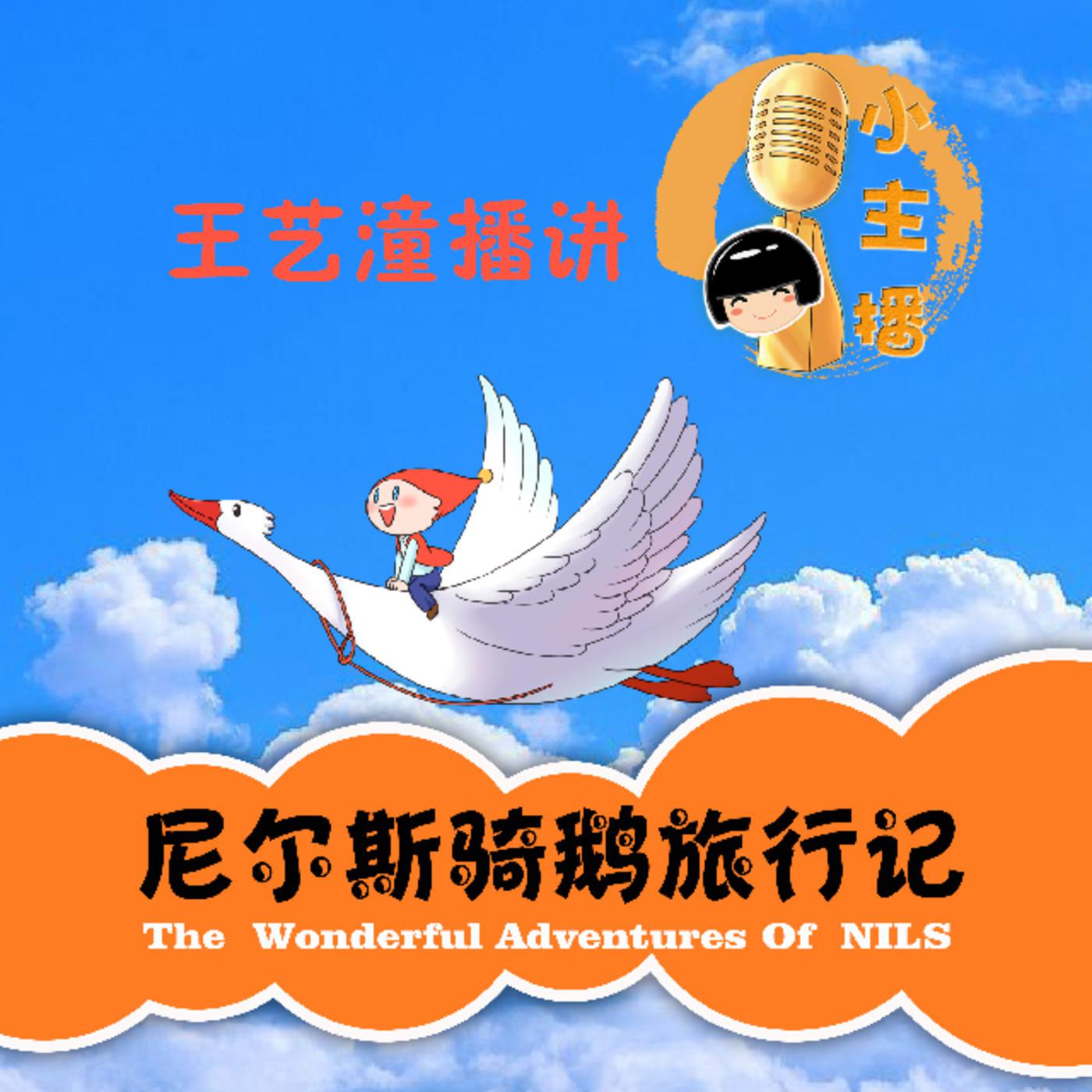 鱼淼淼讲故事【小主播之尼尔斯骑鹅旅行记】 (podcast) - 鱼淼淼@ yumiaomiao.com | Listen Notes
