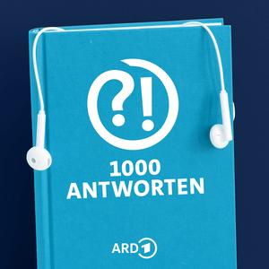 Was ist der Unterschied zwischen Schönheit und Attraktivität?