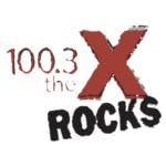 100.3 The X