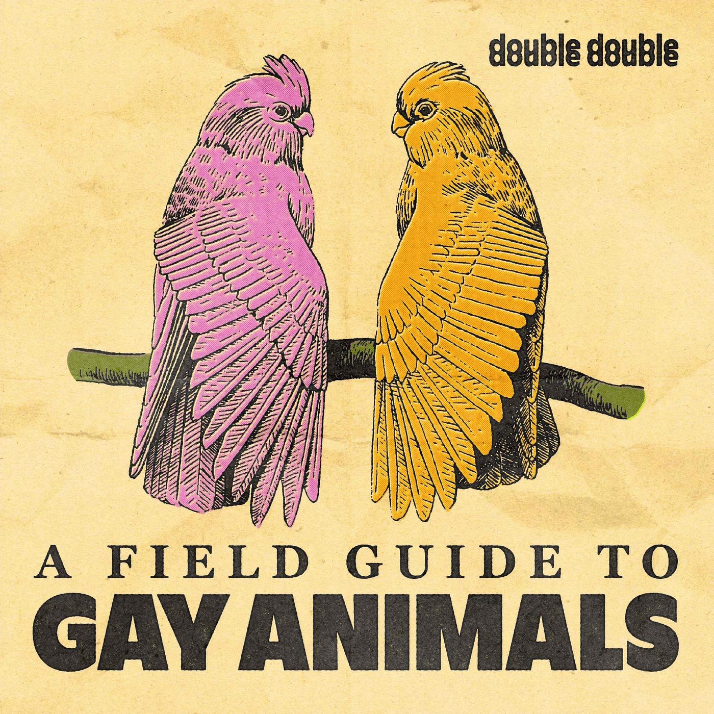 ep-1-gay-time-a-field-guide-to-gay-animals-podcast-listen-notes