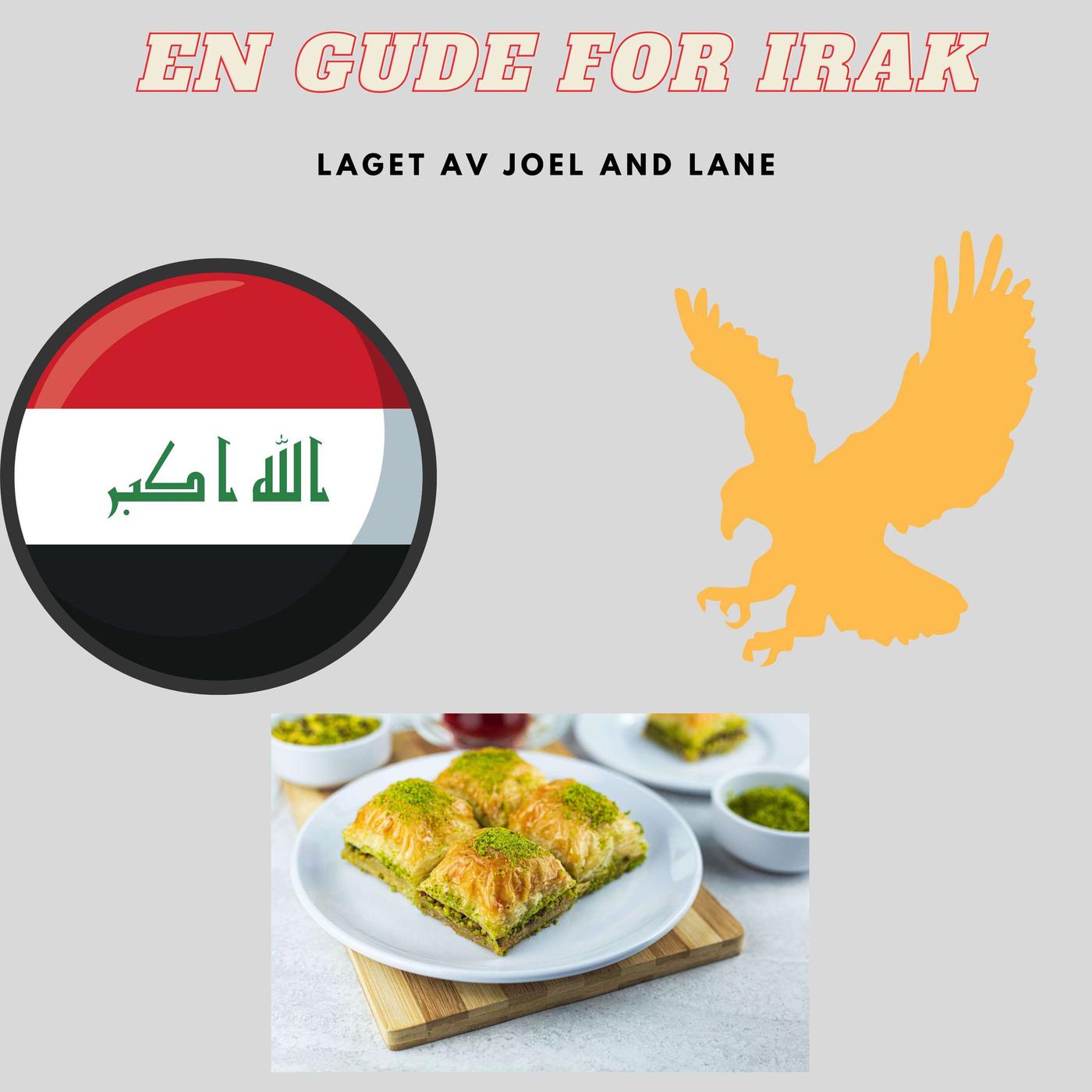 A Guide of Iraq