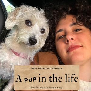 A pup in the life
