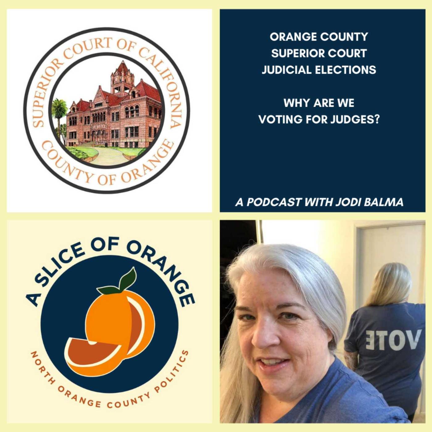 Orange County Florida Judicial Elections 2024 - Anna Mireielle