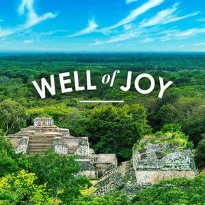 Well of Joy