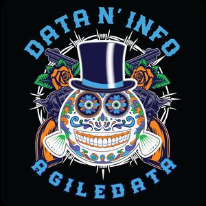 Agile Data N’ Info