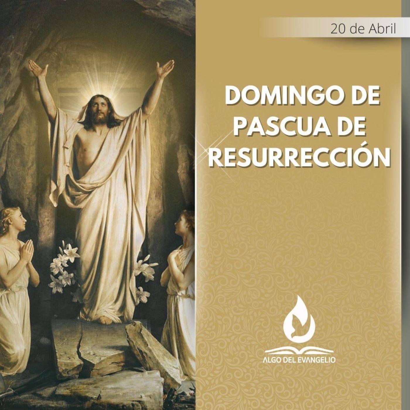 Marcos 10, 35-45 - XXIX Domingo durante el año(B) - Algo del Evangelio ...