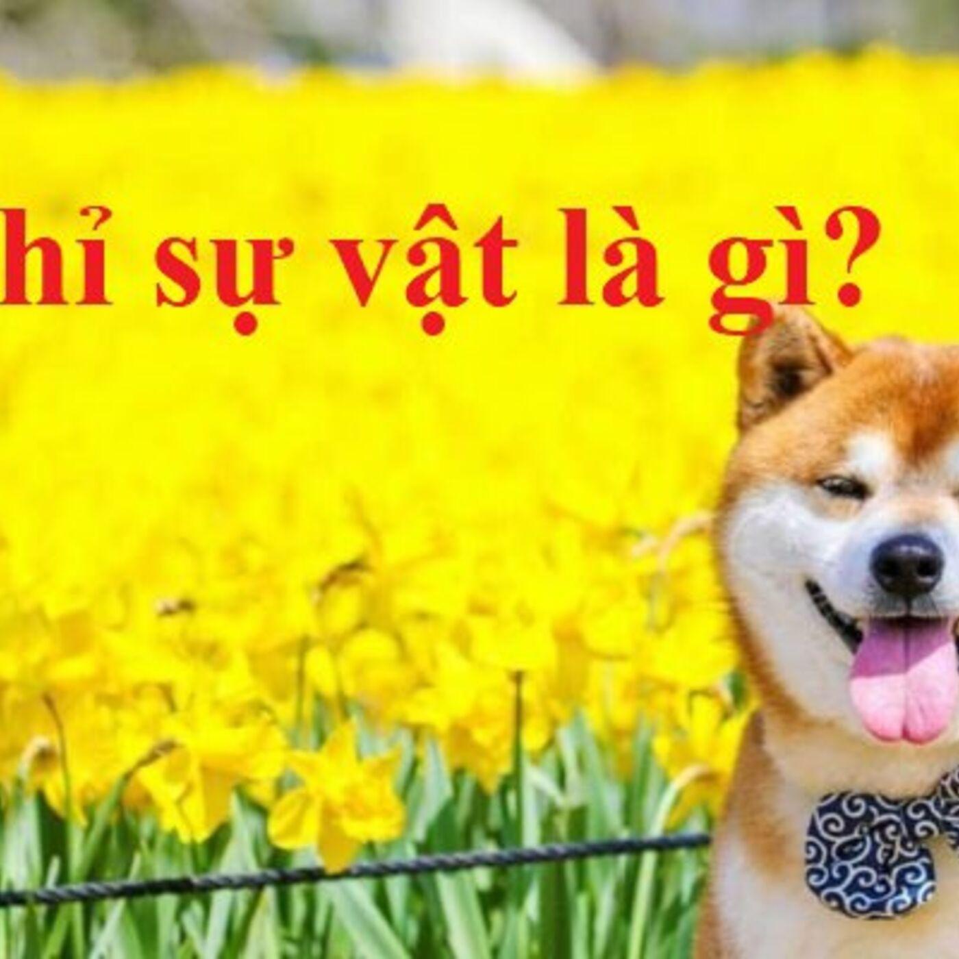 Sự Vật Là Gì? Ví Dụ Về Sự Vật