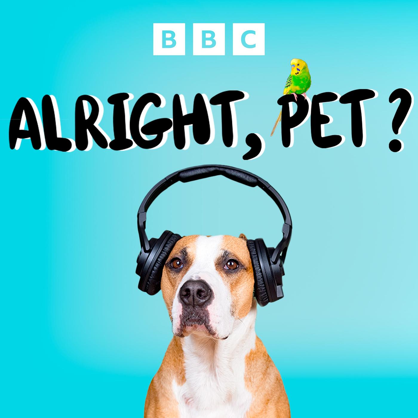 Drake Music NI on Sunday with Steven Rainey - BBC Radio Ulster - Drake  Music NI, image size:1400x1400