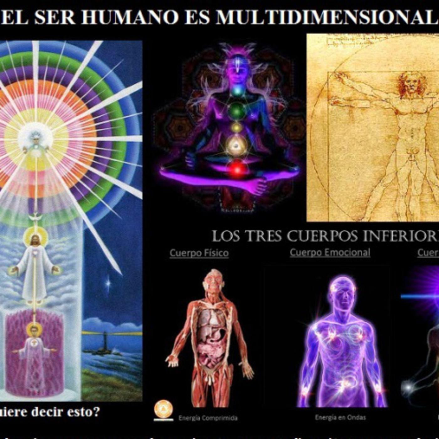Láminas Didácticas Anatomía Energética - Colección Nueva 2026