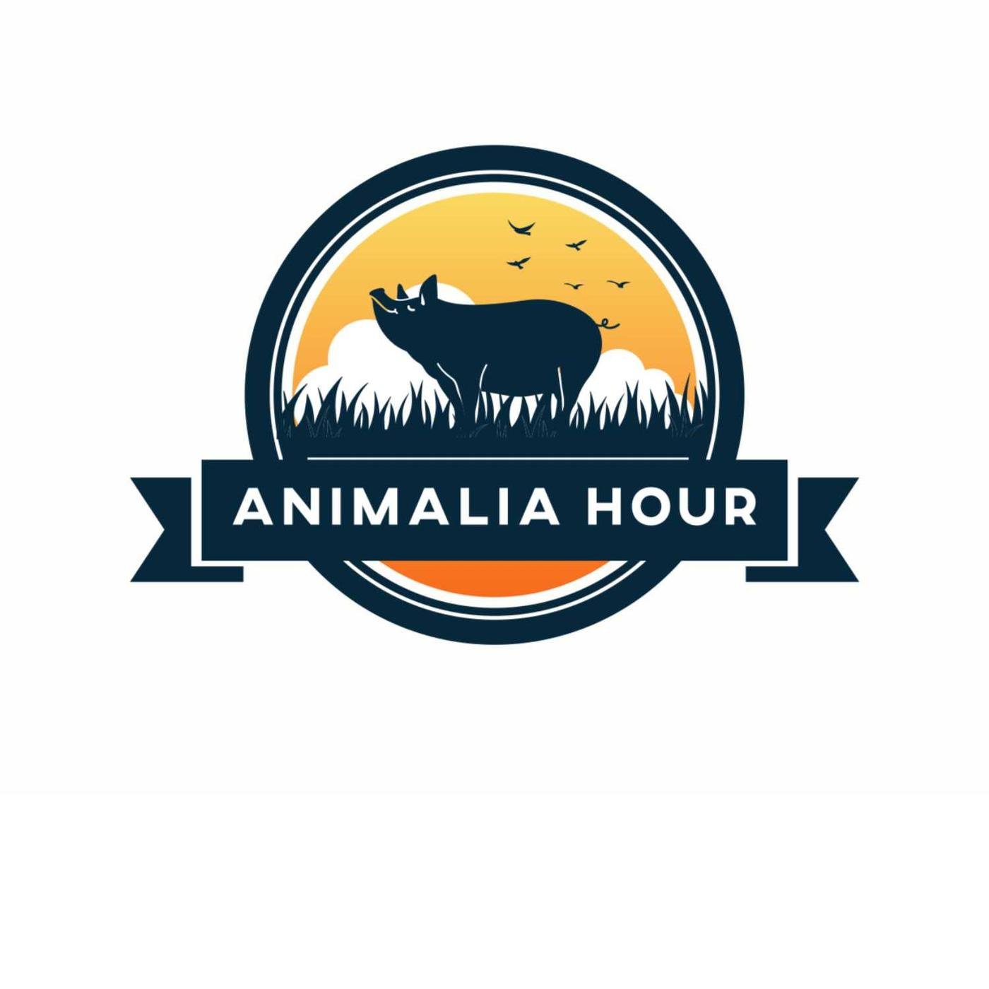 Animalia Hour