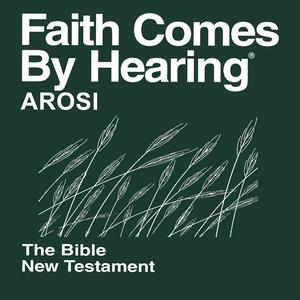 Arosi Bible (Non-Dramatized)