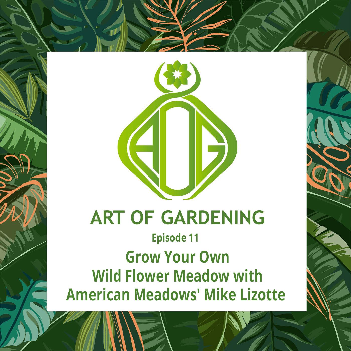 Grow Your Own Wild Flower Meadow with American Meadows' Mike Lizotte ...