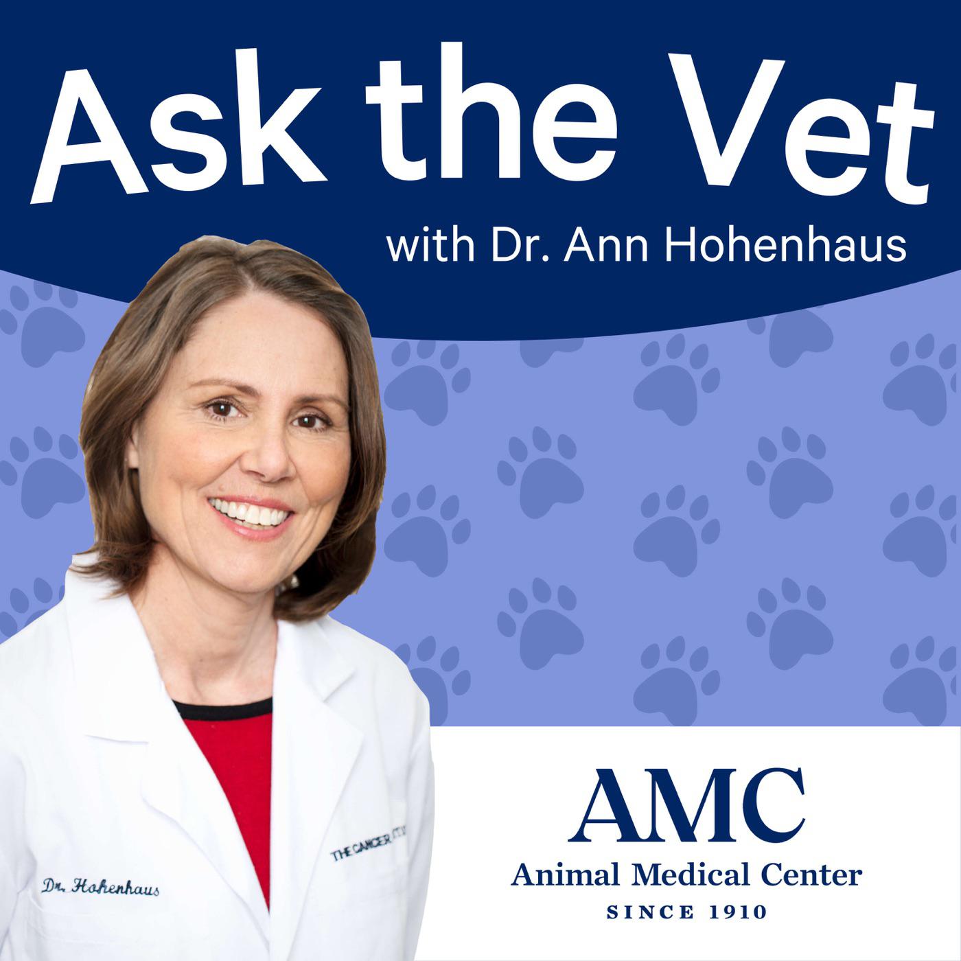 31. Meet AMC's New President & CEO - Ask the Vet (פודקסט) | Listen Notes