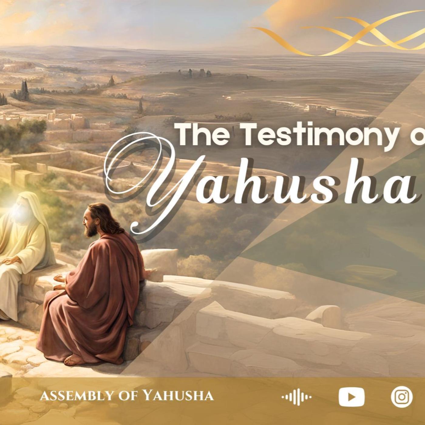 WS - Our Identity In Yahusha 3 : Kings and Priests - Assembly of ...