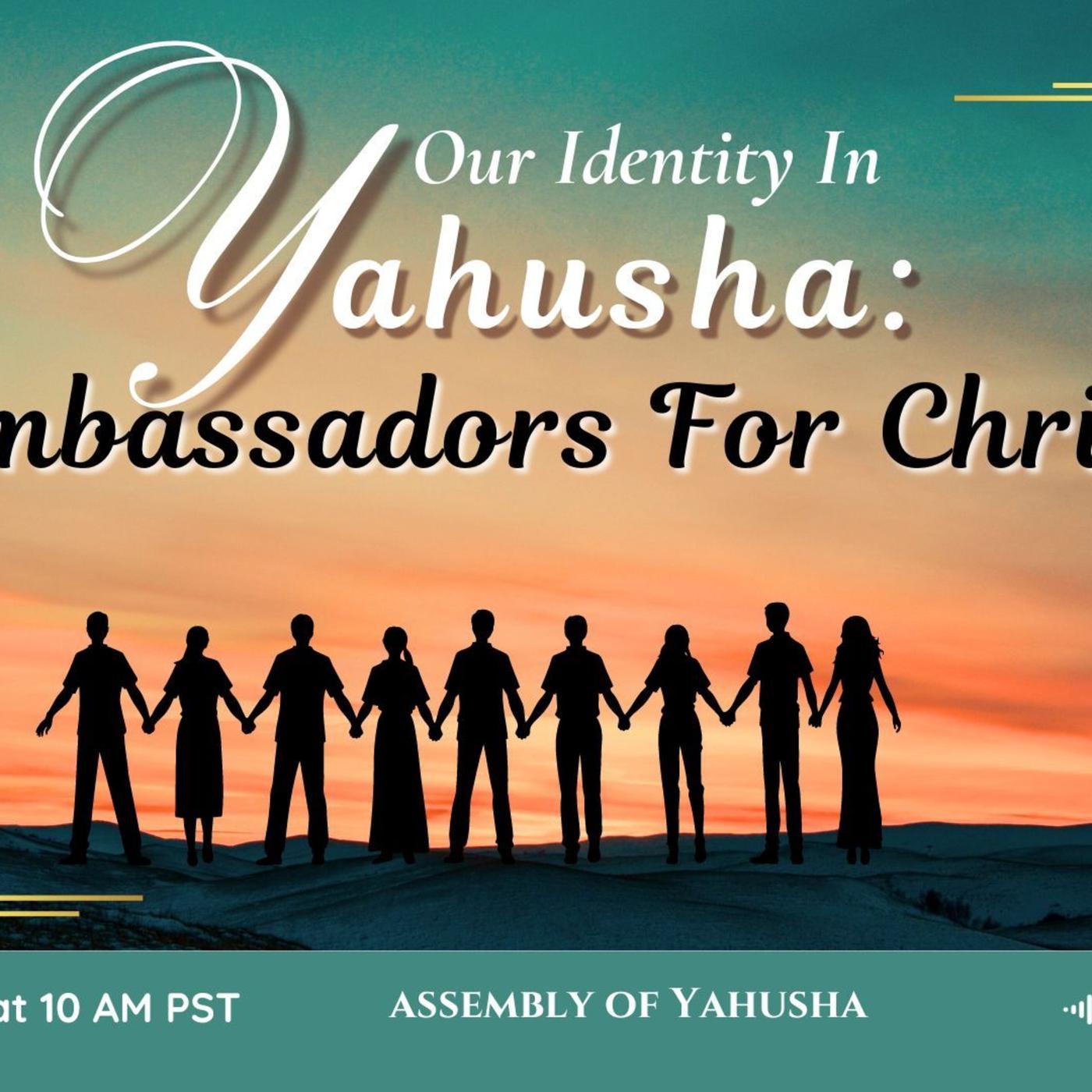 WS - Learning Humility - Assembly of Yahusha (podcast) | Listen Notes