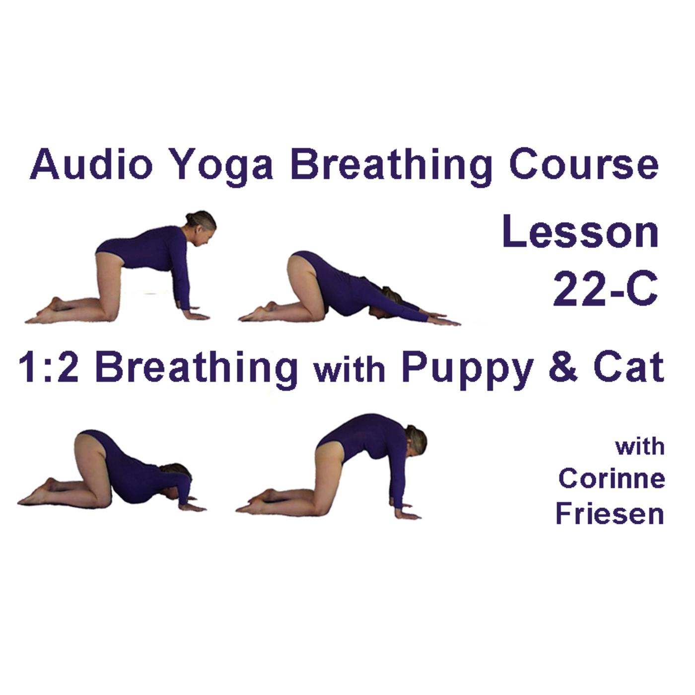 Lesson 26-A: 1:1:2:2 Breathing - Audio Yoga Breathing Course with ...