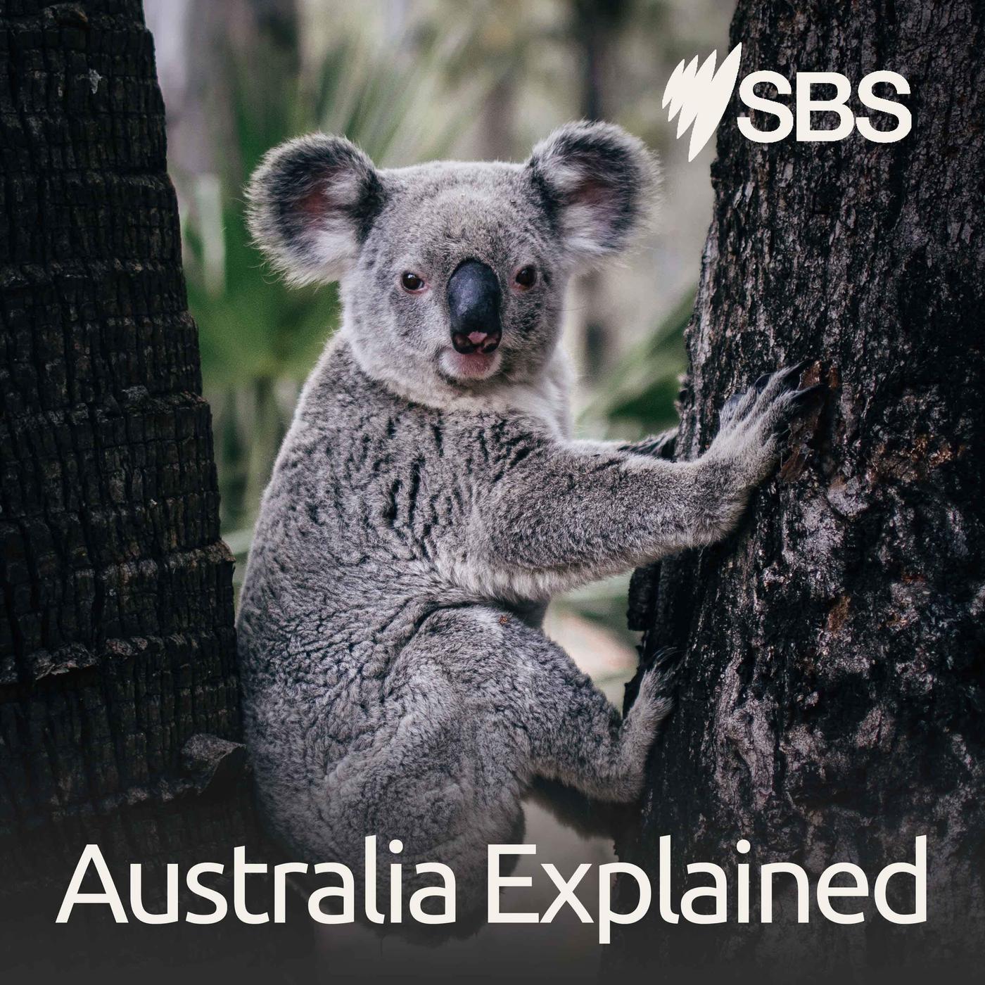 Australia Explained in Indonesian - Australia Explained dalam Bahasa Indonesia