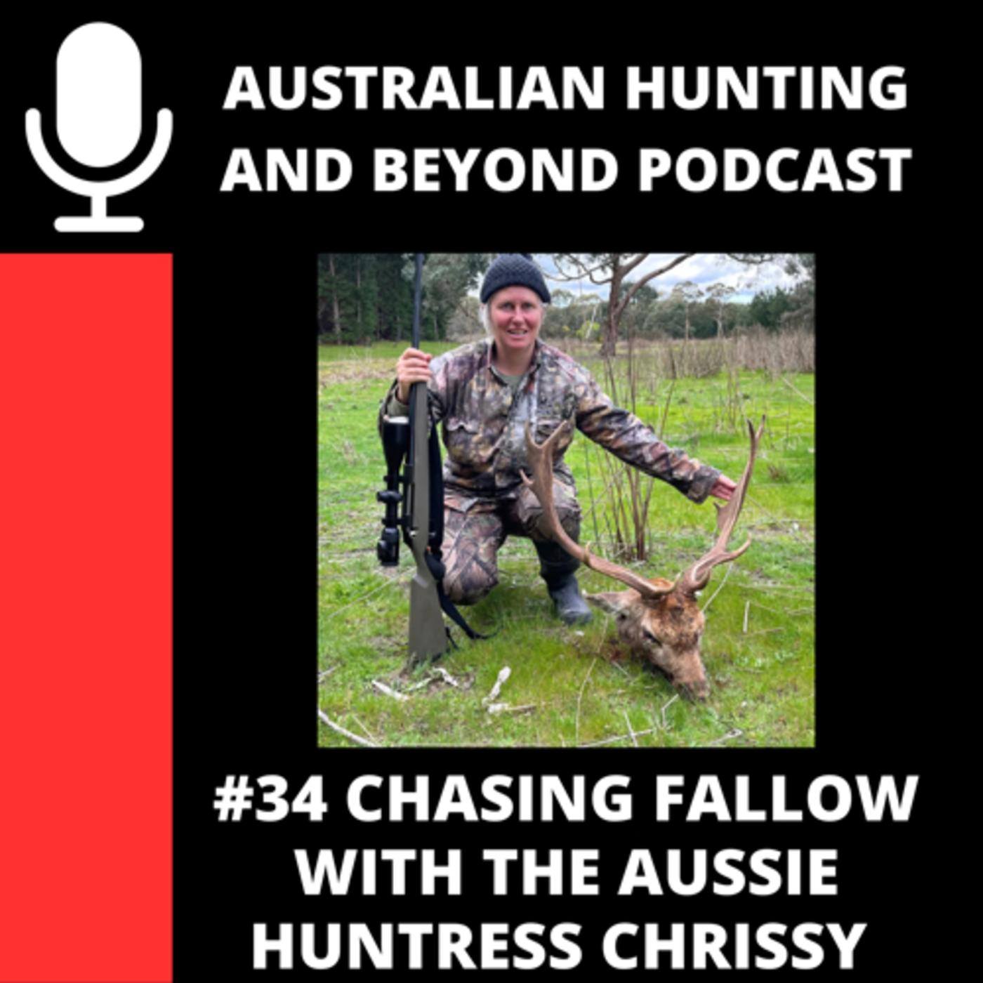 42. That First State Forest Deer! - Australian Hunting and Beyond ...