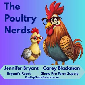 Backyard Chickens & Coturnix Quail: Incubating Hatching Eggs and Chicken Breeding
