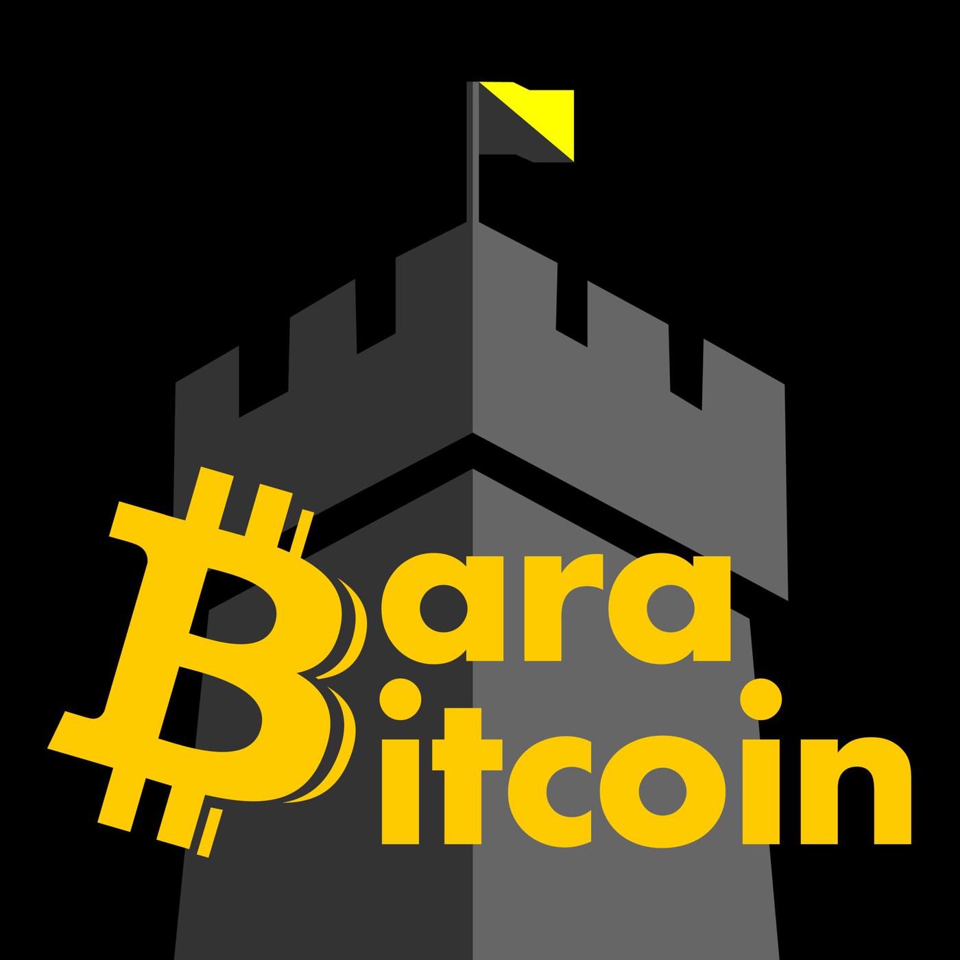 2 Alexander Bottema - Det finns inget alternativ - Bara Bitcoin (pódcast) |  Listen Notes