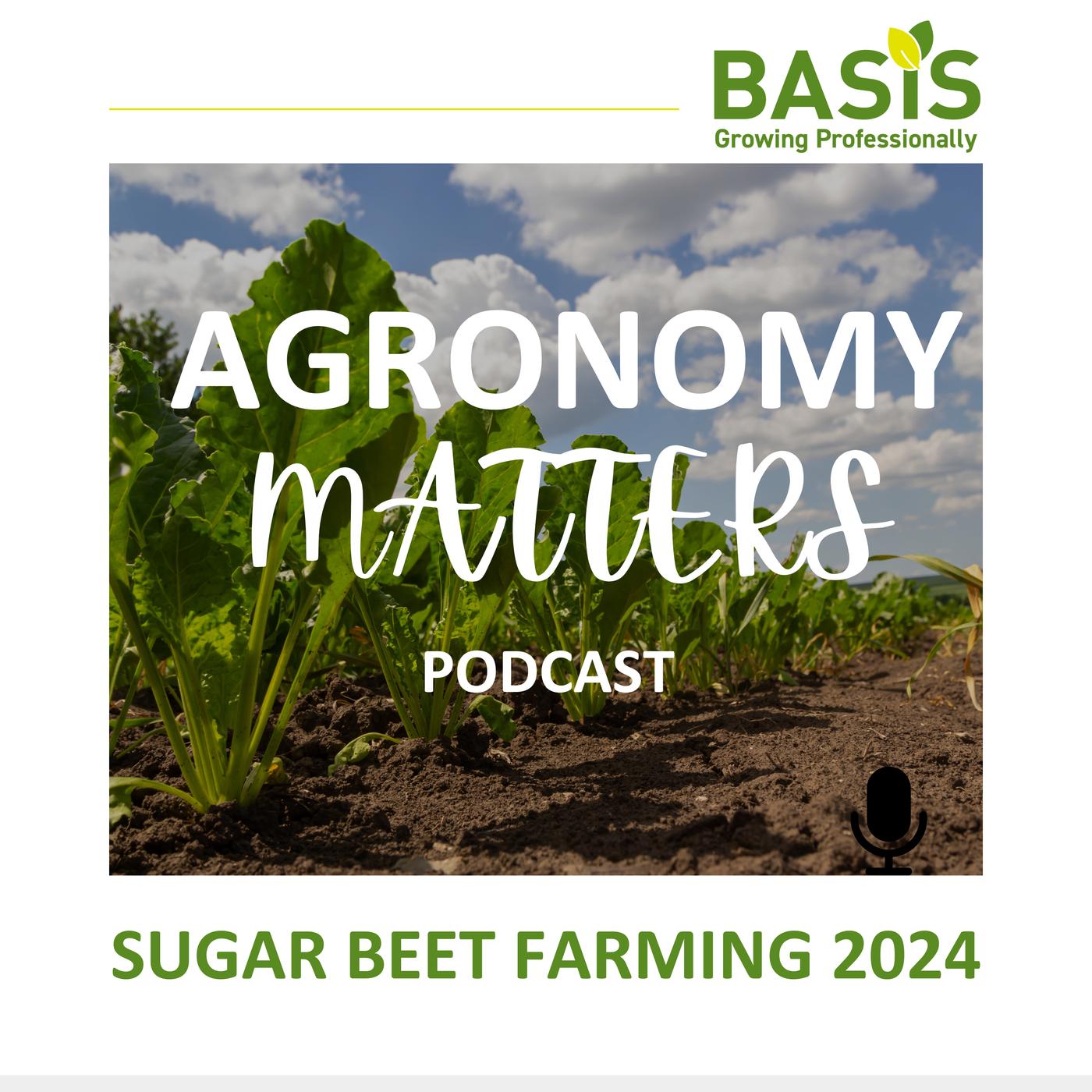 Sugar Beet Farming 2024 - Basis Agronomy Matters (podcast) 