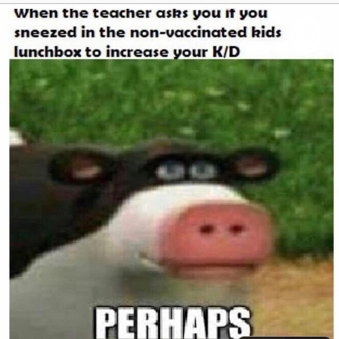 POLL: Should Big Bird be on the federal budget chopping block?, image size:1400x1400