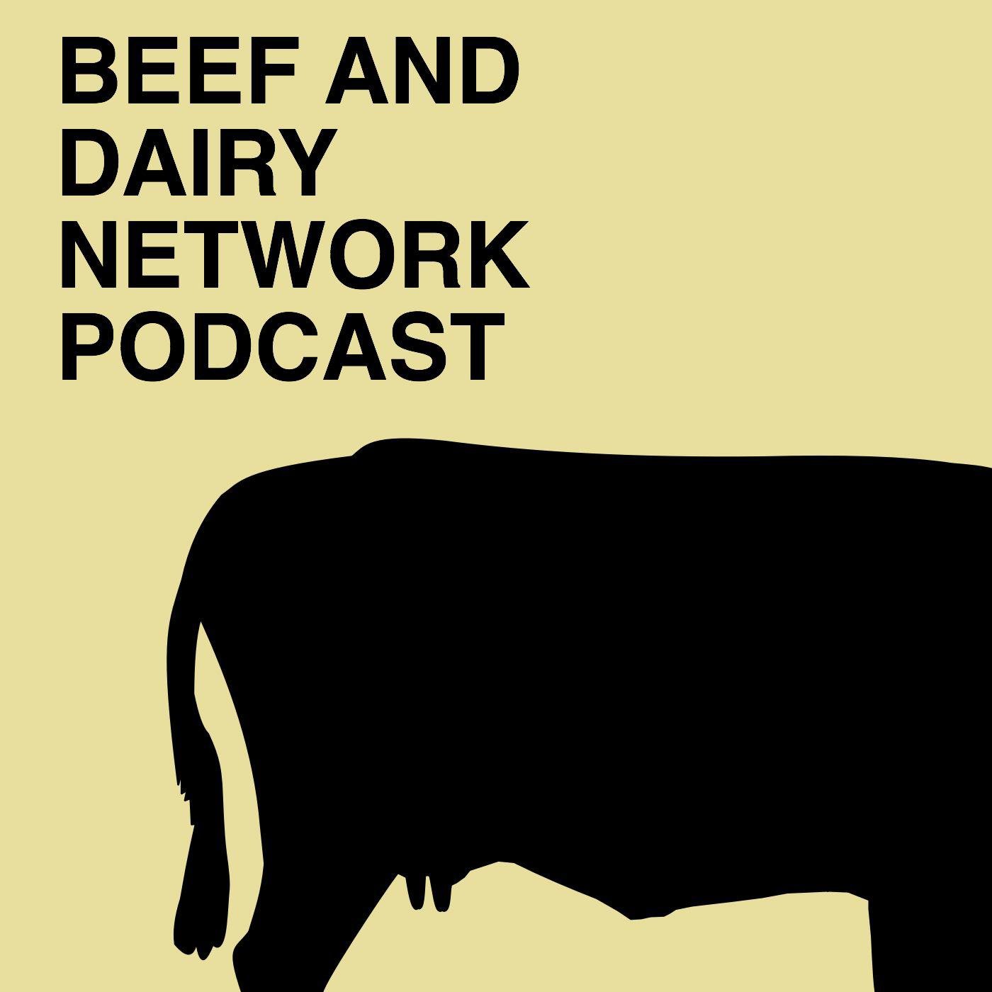 mbanerjeepalmer+listennotes \'s Listen Later