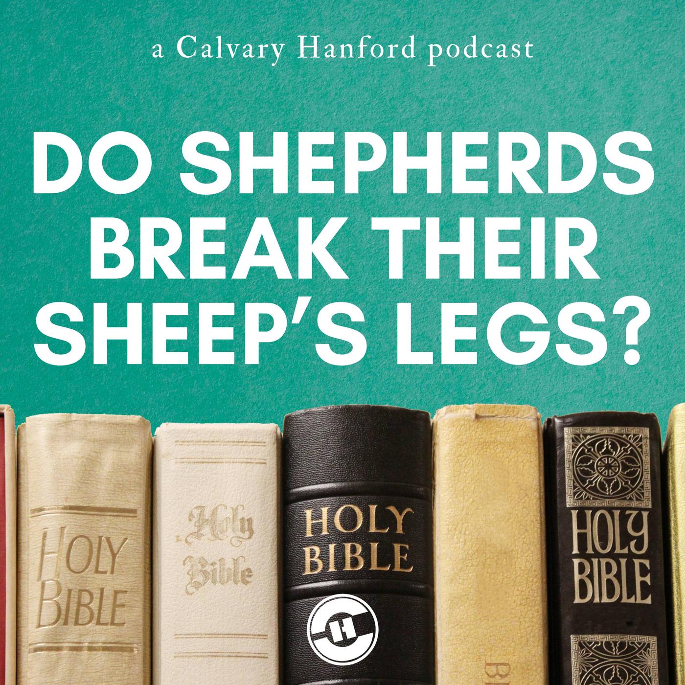 Do Shepherds Break The Legs TIV9sW O4YN 9p7xyi2wDeI.1400x1400 