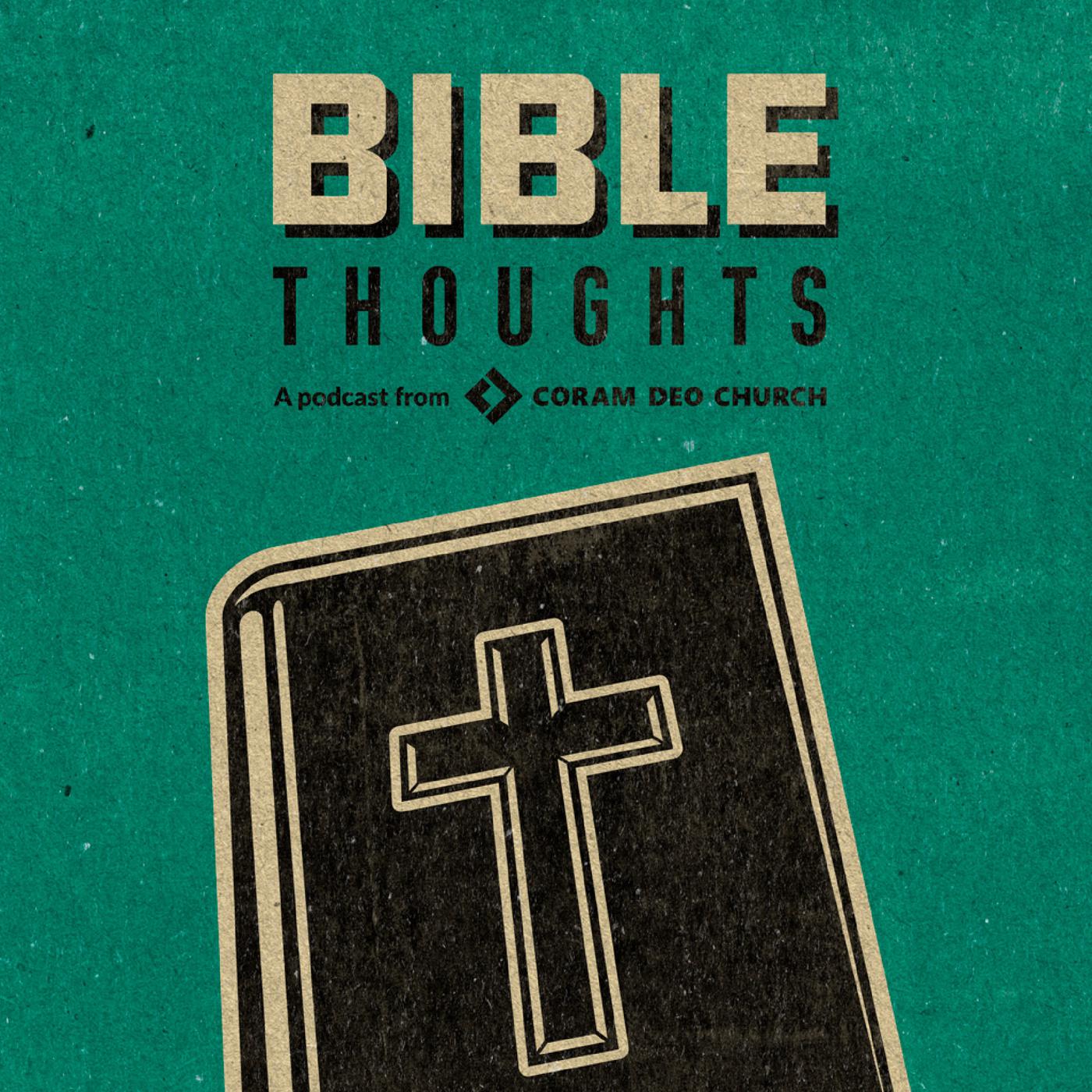 Bible Thoughts - E29 - 