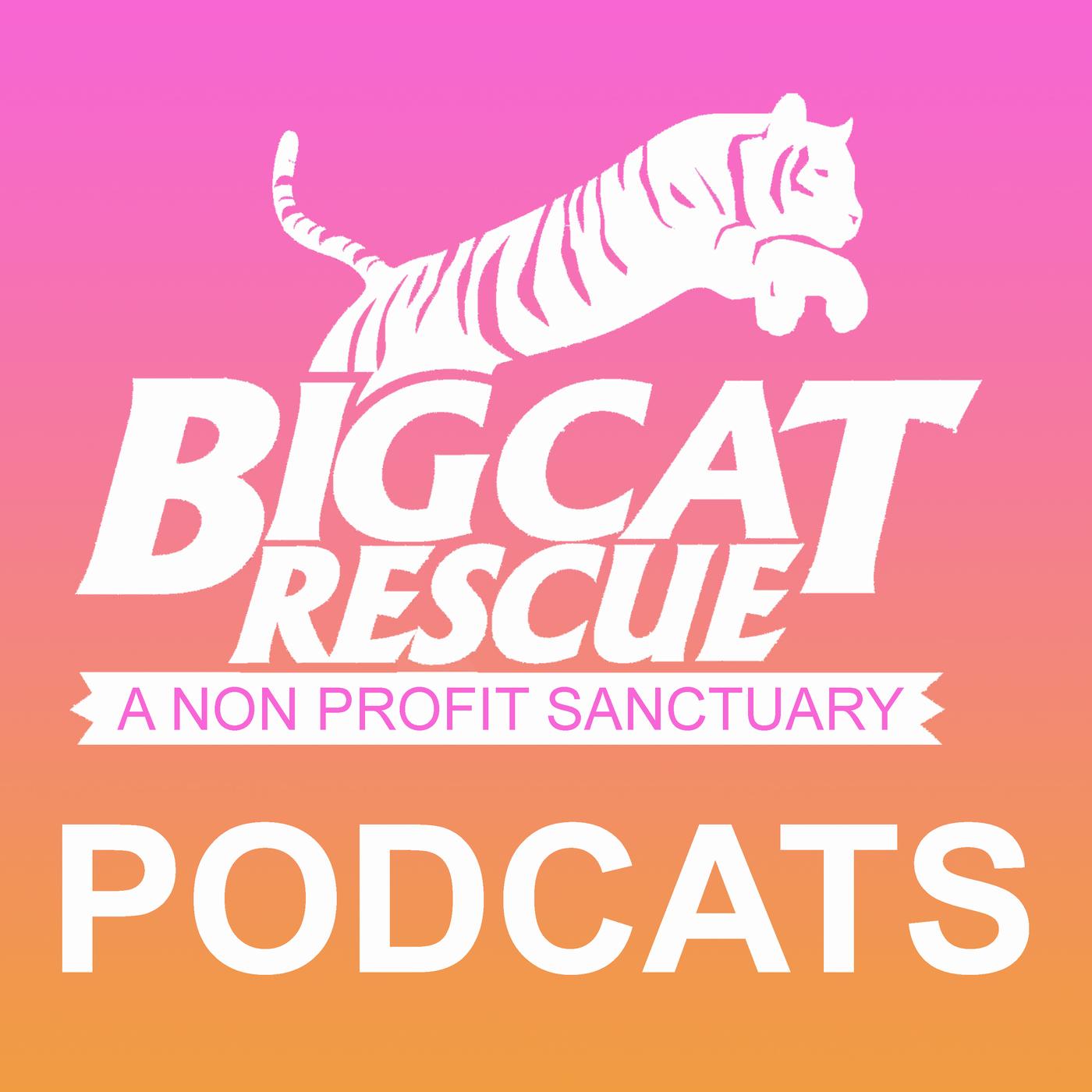 Big Cat Rescue (podcast) - Big Cat Rescue | Listen Notes