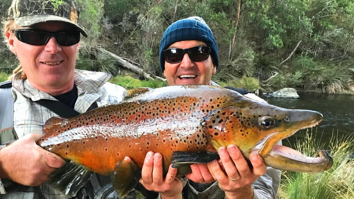 The Big Fish: The Disgusting truth behind a 