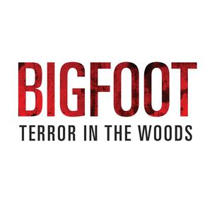 Bigfoot Terror in the Woods Sightings and Encounters — Bigfoot TIW 354:  Moose Hunter in Alberta calls for a Moose but gets a Bigfoot