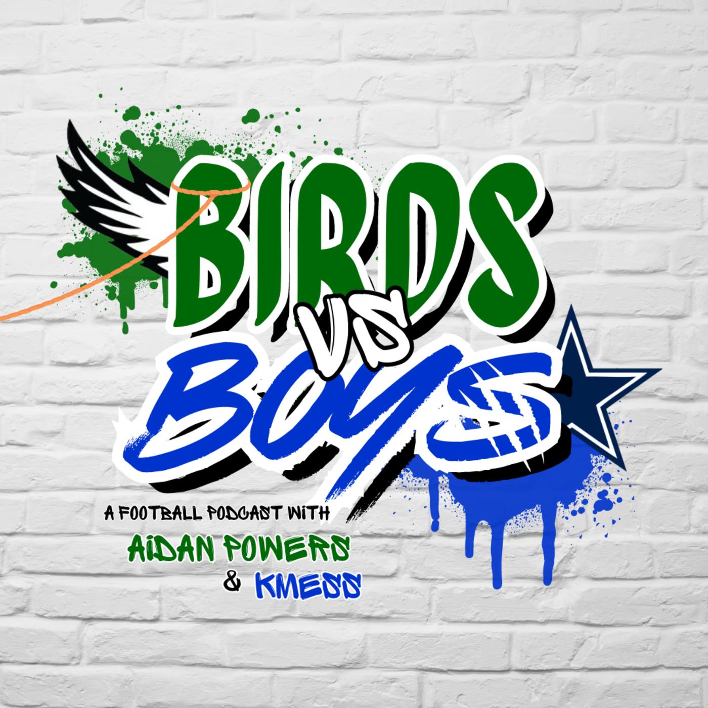 Birds Vs Boys