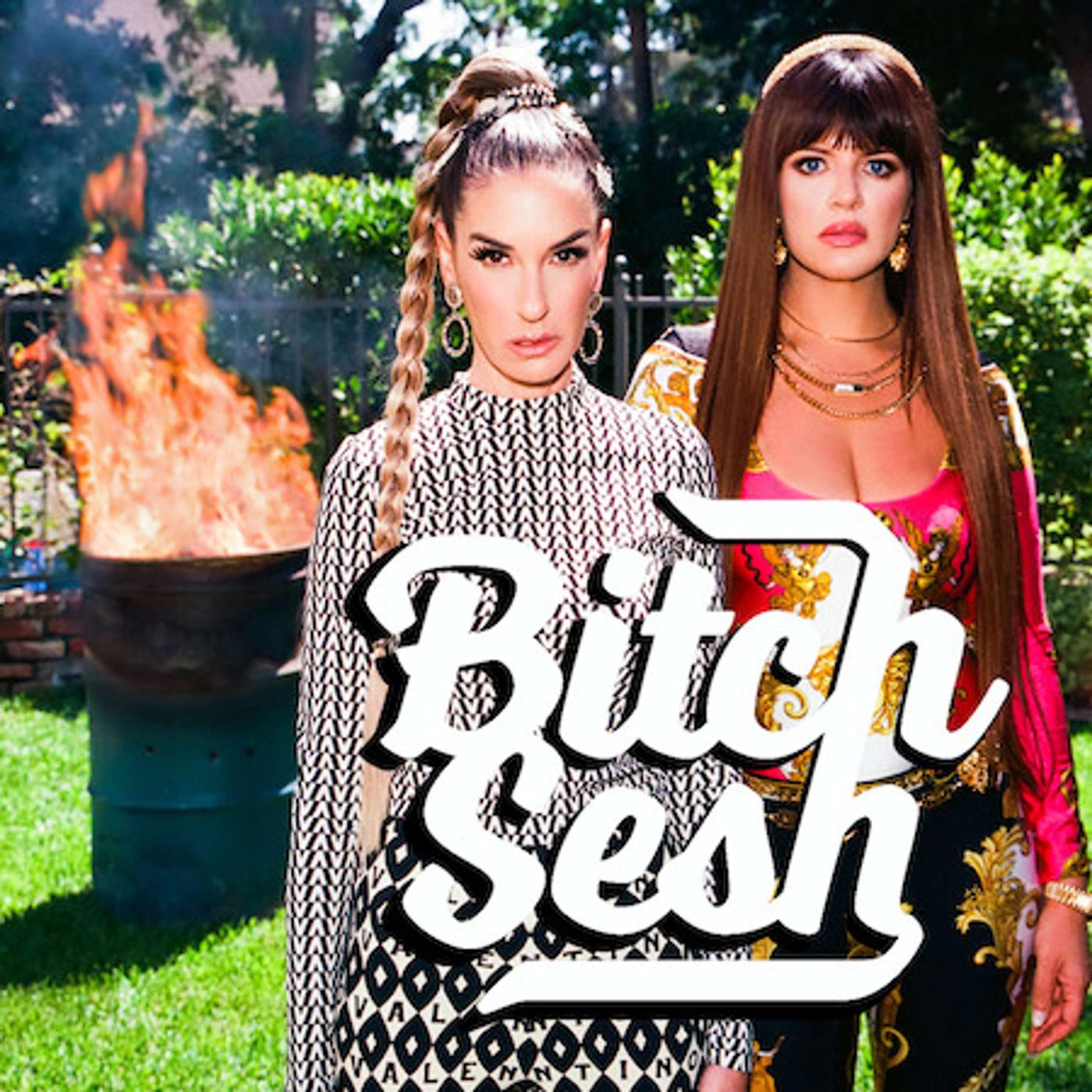 Bitch Sesh: A Real Housewives Breakdown (Podcast) - Casey Wilson, Danielle  Schneider | Listen Notes