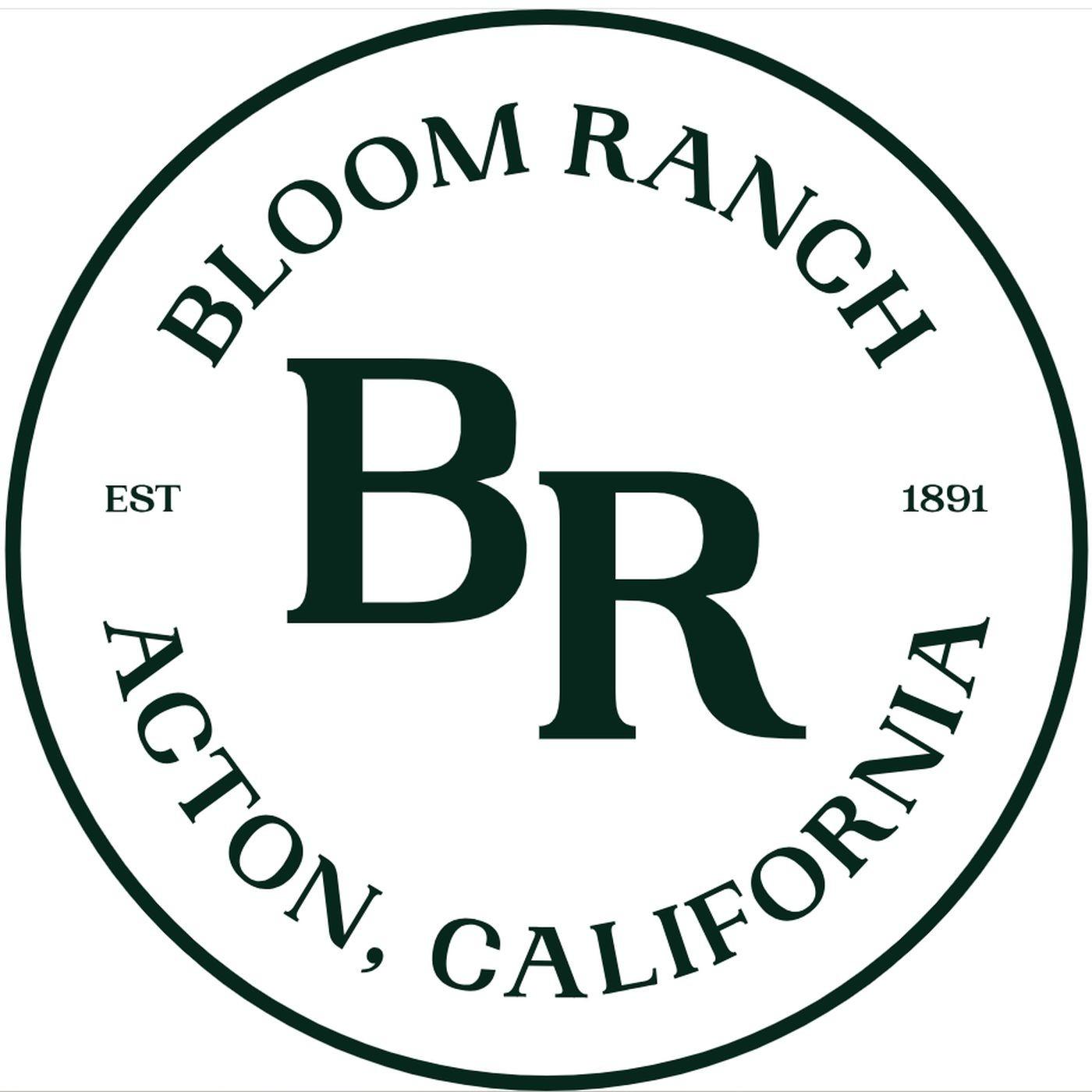 Unleashing Inner Peace With Healing Meditation Retreats at Bloom Ranch ...