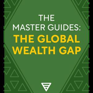 The Master Guides: The Global Wealth Gap Shortform