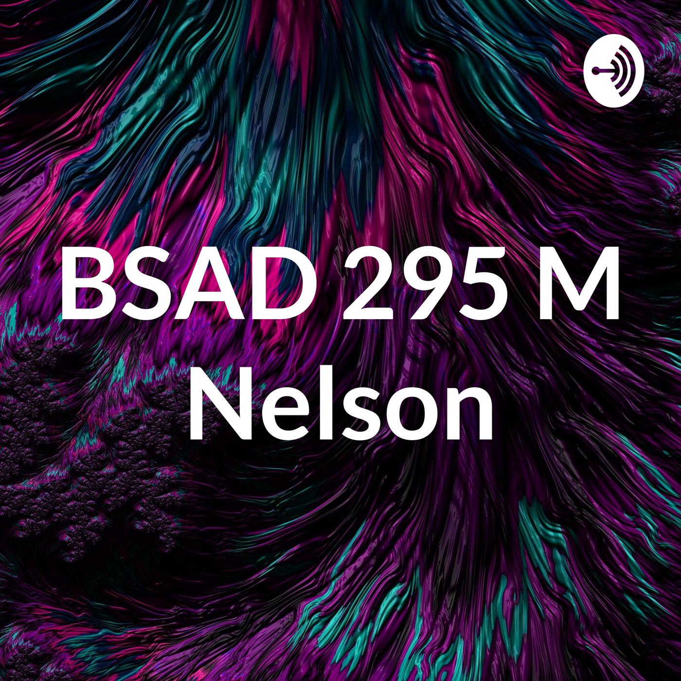 BSAD 295 M Nelson