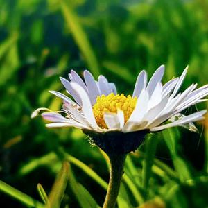 Calming an over active mind