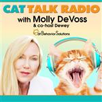 Cat Talk Radio