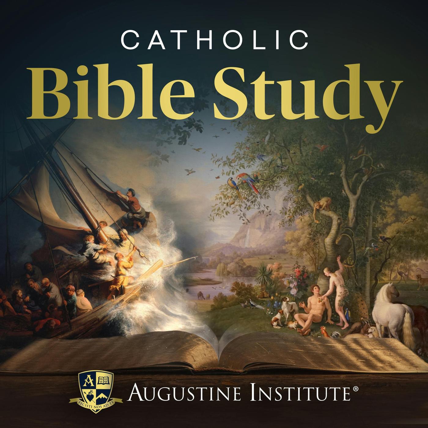 Luminous Mysteries: The Transfiguration - Catholic Bible Study (podcast ...