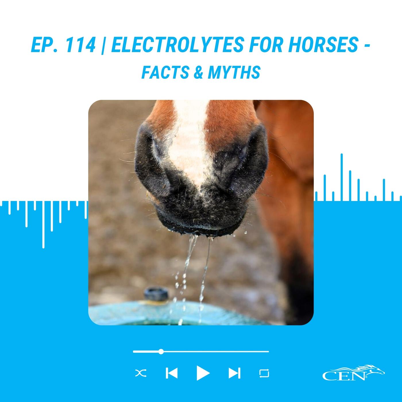 Ep. 60 | ROSS RIVER VIRUS IN HORSES – The Cause, Symptoms And ...